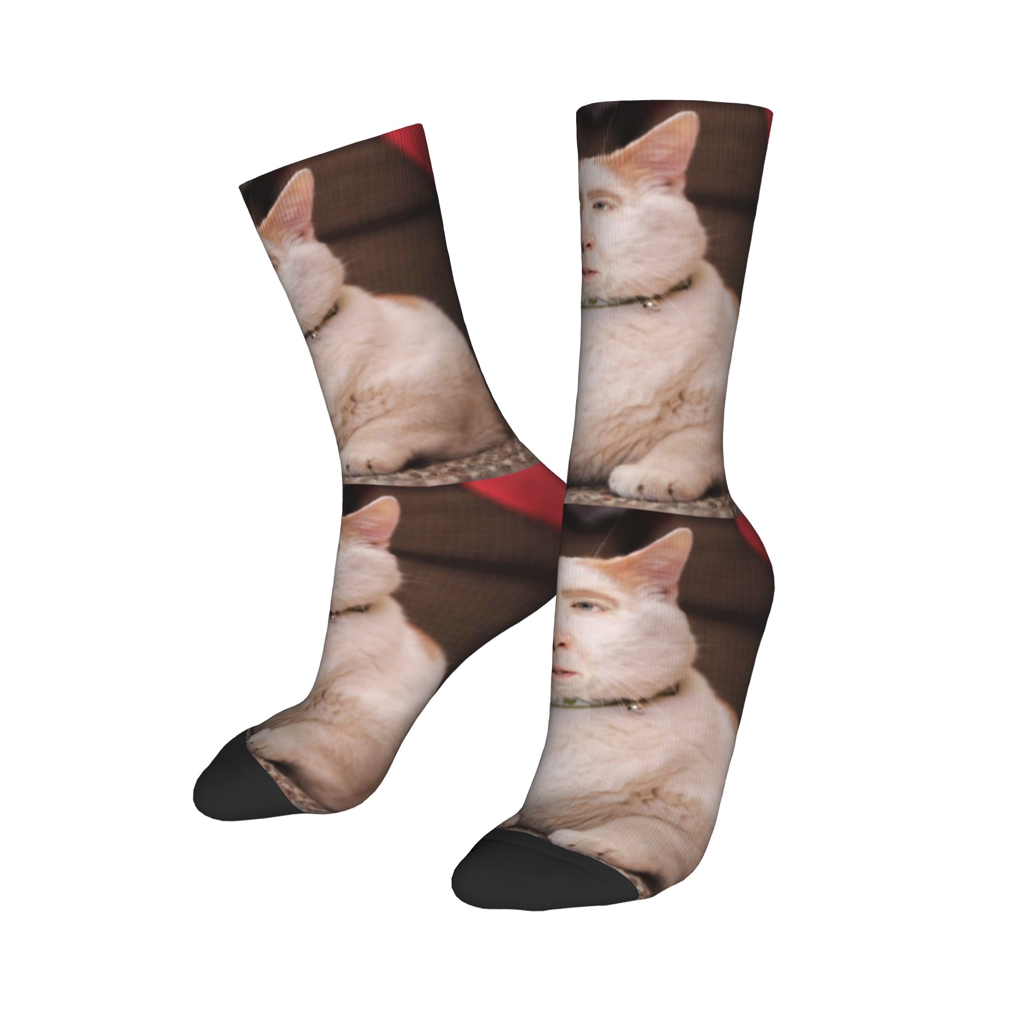ถุงเท้าลายมีมนิโคลัส เคจ แบบกำ - Dress Sock Men บทวิจารณ์และราคา
